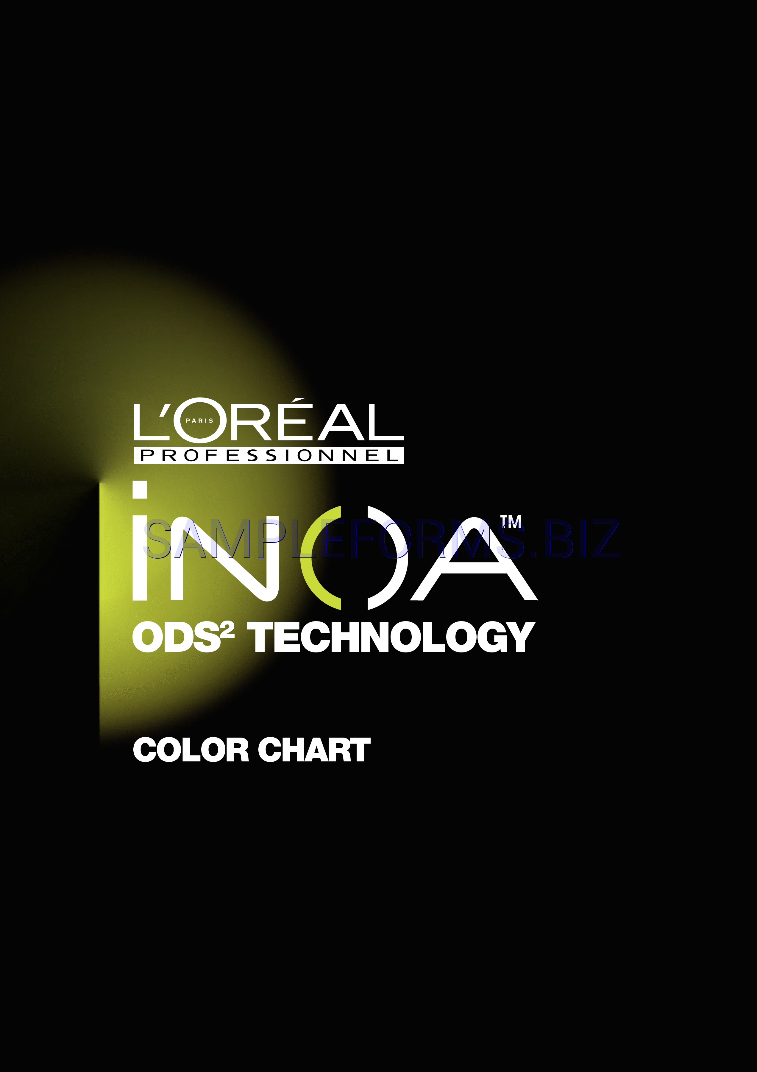 Preview free downloadable Inoa Color Chart in PDF (page 1)