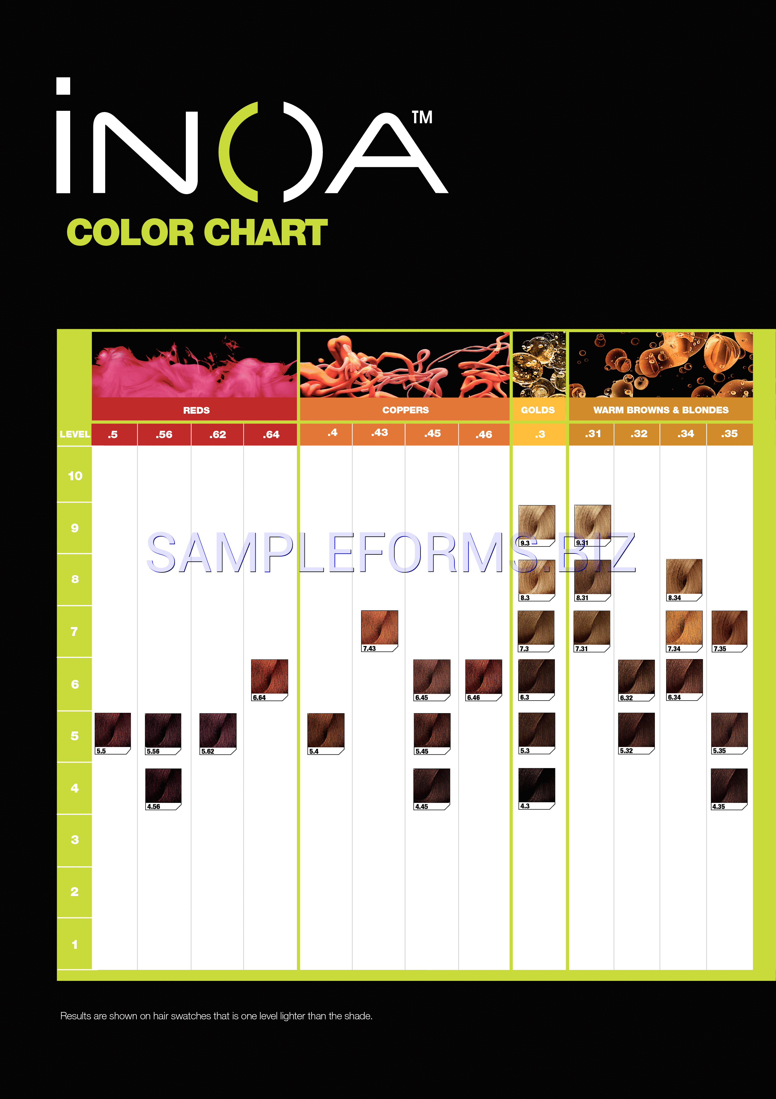 Preview free downloadable Inoa Color Chart in PDF (page 4)