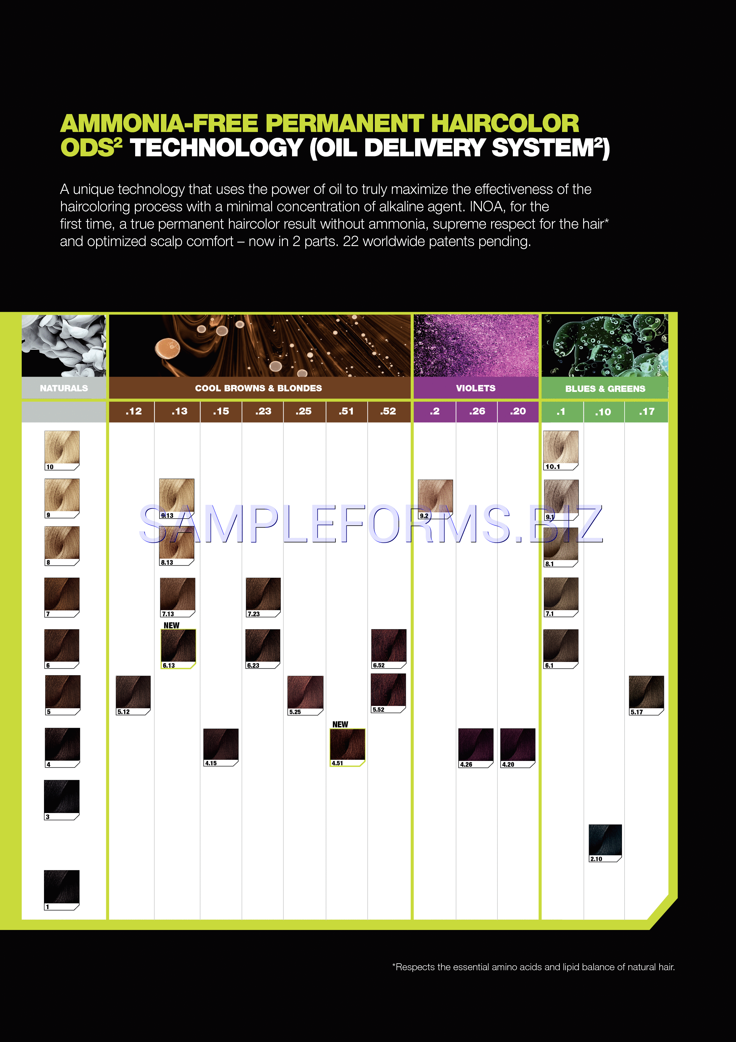 Preview free downloadable Inoa Color Chart in PDF (page 5)