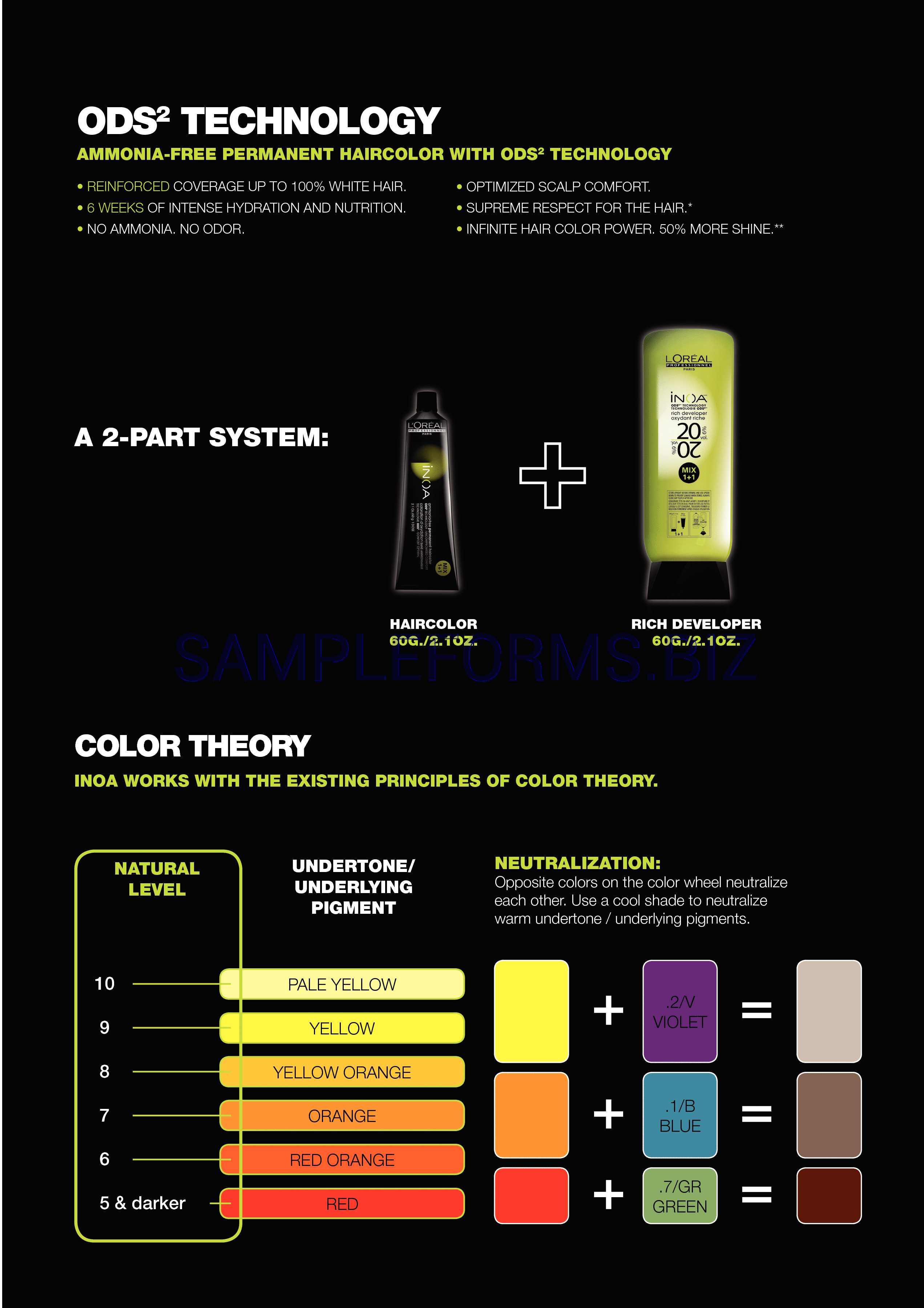 Preview free downloadable Inoa Color Chart in PDF (page 6)